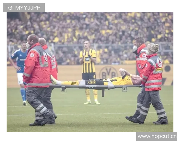 多特蒙德向球迷致敬免费赠送罗伊斯印号主场球衣活动启动